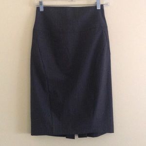 Express Pencil Skirt